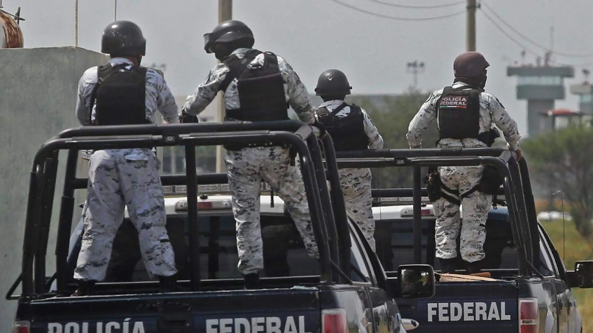 Polícia Federal en un recorrido